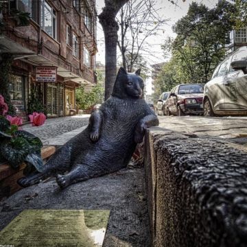 Camden Lever Door Handle - Matt Black